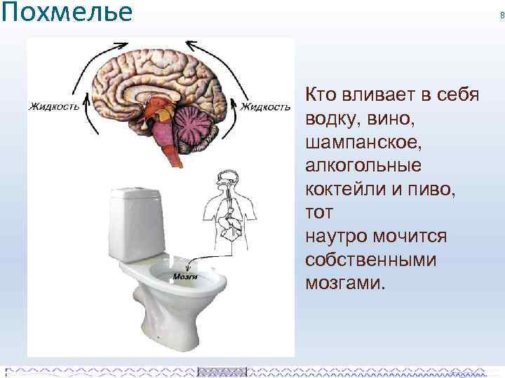 Похмелье 8 Кто вливает в себя водку, вино, шампанское, алкогольные коктейли и пиво, тот