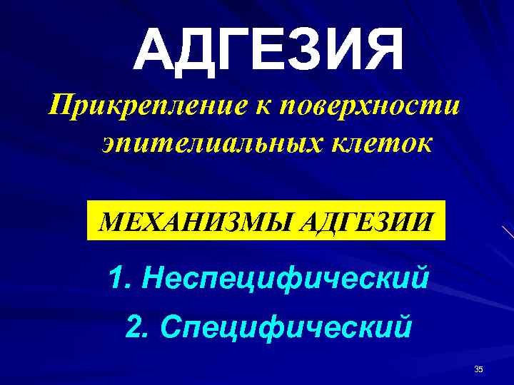 АДГЕЗИЯ Прикрепление к поверхности эпителиальных клеток МЕХАНИЗМЫ АДГЕЗИИ 1. Неспецифический 2. Специфический 35 