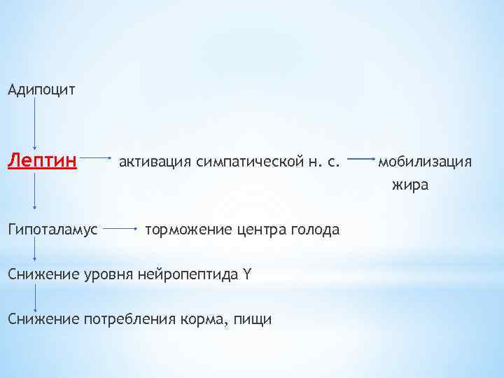 Адипоцит Лептин активация симпатической н. с. мобилизация жира Гипоталамус торможение центра голода Снижение уровня
