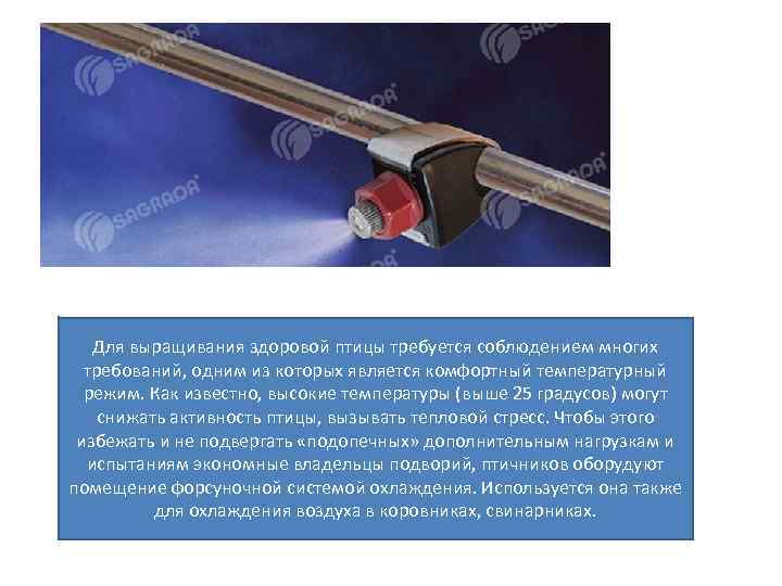 Для выращивания здоровой птицы требуется соблюдением многих требований, одним из которых является комфортный температурный