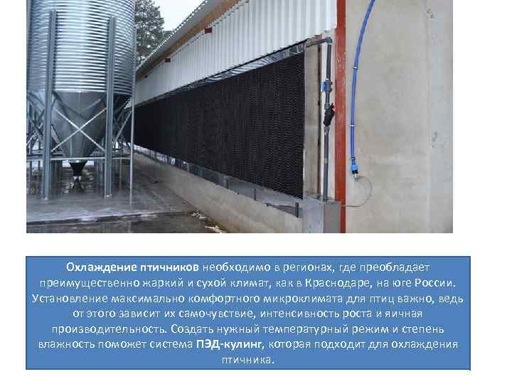 Охлаждение птичников необходимо в регионах, где преобладает преимущественно жаркий и сухой климат, как в