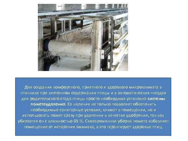 Для создания комфортного, приятного и здорового микроклимата в птичнике при клеточном содержании птицы и