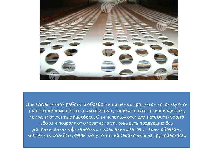 Для эффективной работы и обработки пищевых продуктов используются транспортерные ленты, а в хозяйствах, занимающихся