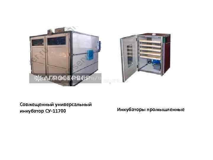 Совмещенный универсальный инкубатор СУ-11700 Инкубаторы промышленные 