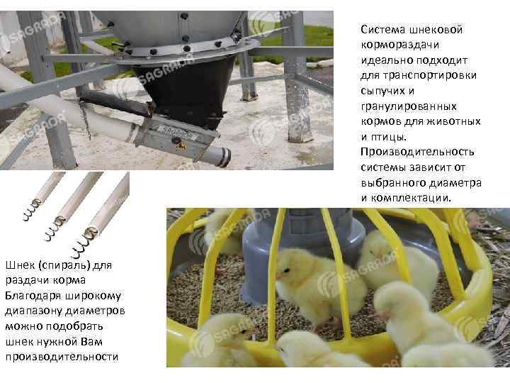 Система шнековой кормораздачи идеально подходит для транспортировки сыпучих и гранулированных кормов для животных и