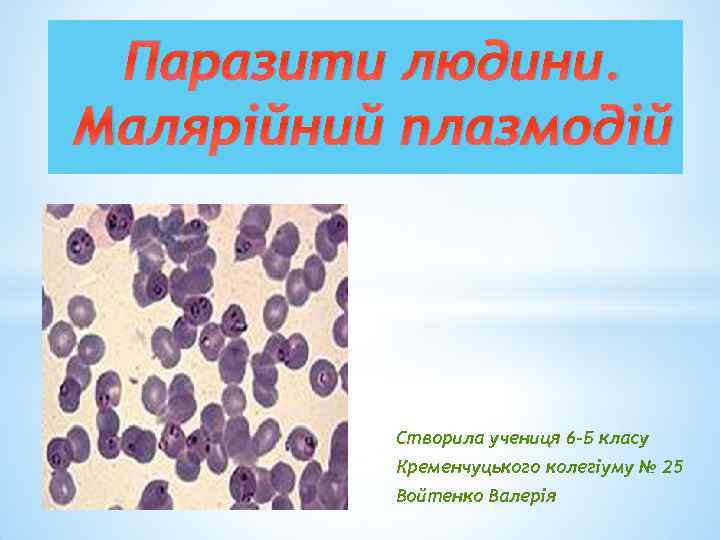 Паразити людини. Малярійний плазмодій Створила учениця 6 -Б класу Кременчуцького колегіуму № 25 Войтенко