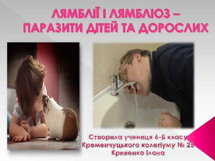 ЛЯМБЛІЇ І ЛЯМБЛІОЗ – ПАРАЗИТИ ДІТЕЙ ТА ДОРОСЛИХ Створила учениця 6 -Б класу Кременчуцького