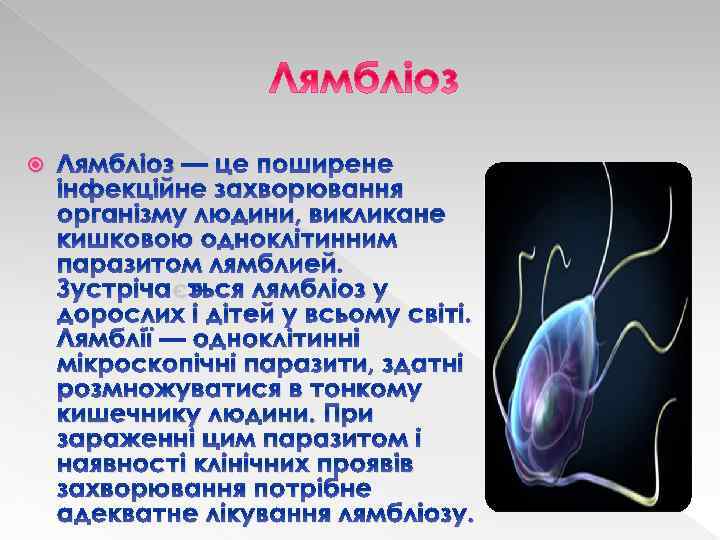  Лямбліоз — це поширене інфекційне захворювання організму людини, викликане кишковою одноклітинним паразитом лямблией.