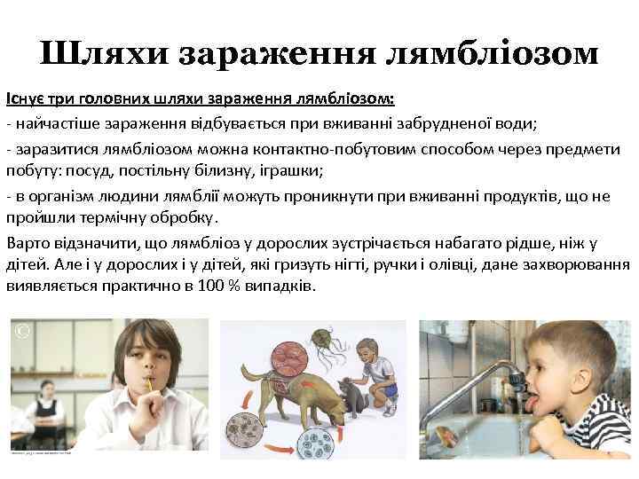 Шляхи зараження лямбліозом Існує три головних шляхи зараження лямбліозом: - найчастіше зараження відбувається при
