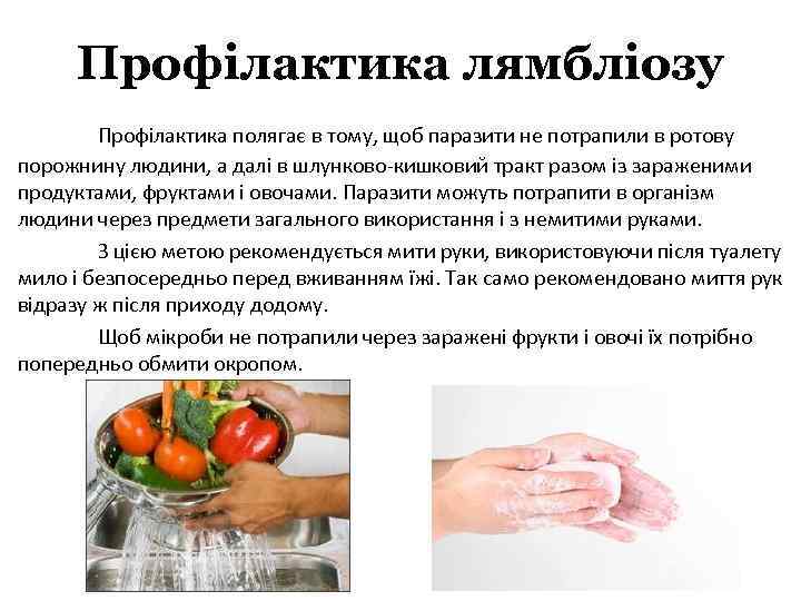 Профілактика лямбліозу Профілактика полягає в тому, щоб паразити не потрапили в ротову порожнину людини,