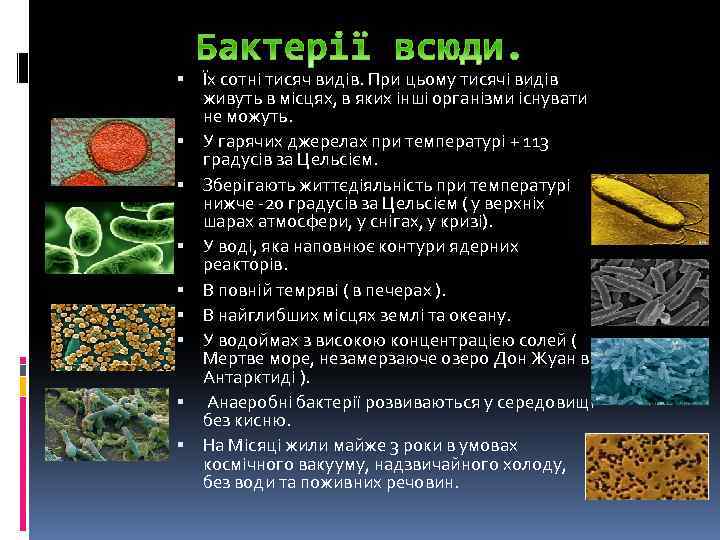  Їх сотні тисяч видів. При цьому тисячі видів живуть в місцях, в яких