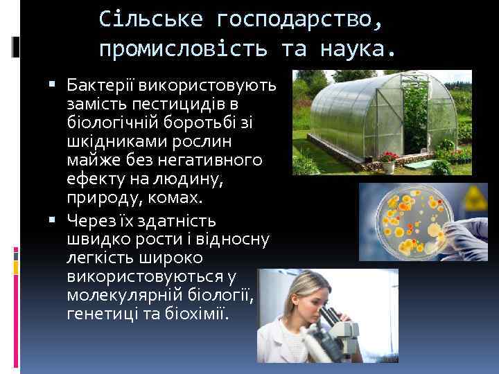 Сільське господарство, промисловість та наука. Бактерії використовують замість пестицидів в біологічній боротьбі зі шкідниками