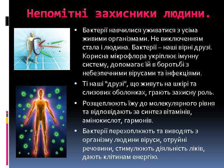 Непомітні захисники людини. Бактерії навчилися уживатися з усіма живими організмами. Не виключенням стала і