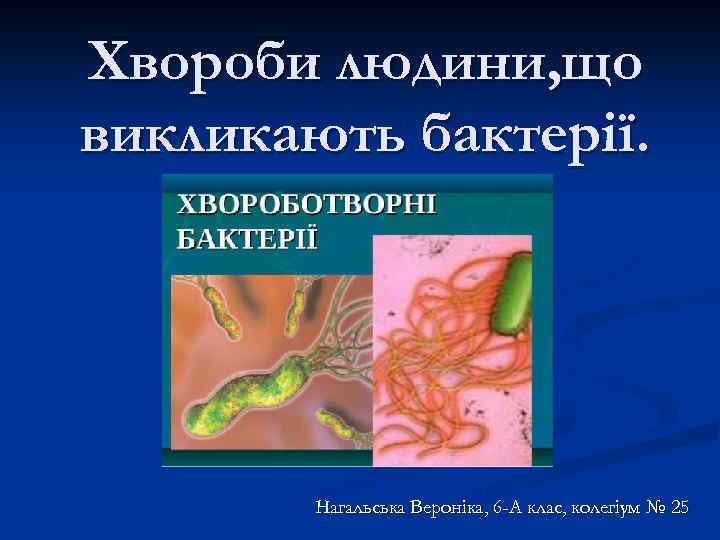 Хвороби людини, що викликають бактерії. Нагальська Вероніка, 6 -А клас, колегіум № 25 