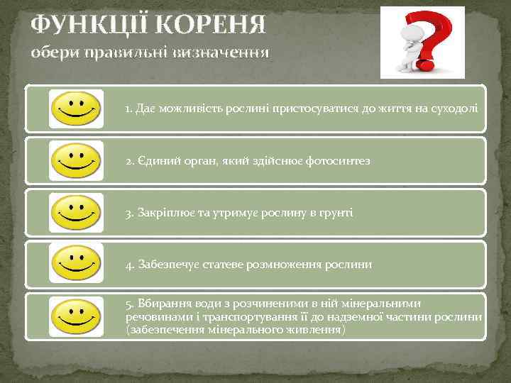 ФУНКЦІЇ КОРЕНЯ обери правильні визначення 1. Дає можливість рослині пристосуватися до життя на суходолі