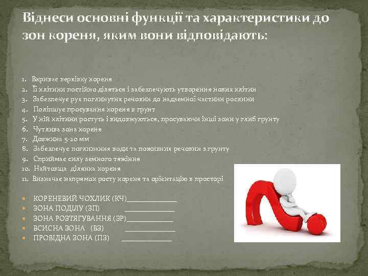 Віднеси основні функції та характеристики до зон кореня, яким вони відповідають: 1. Вкриває верхівку