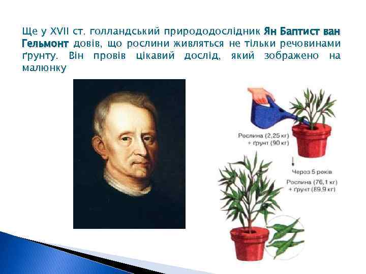 Ще у XVII ст. голландський природодослідник Ян Баптист ван Гельмонт довів, що рослини живляться