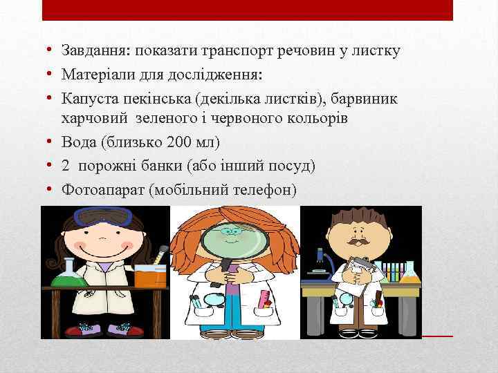  • Завдання: показати транспорт речовин у листку • Матеріали для дослідження: • Капуста