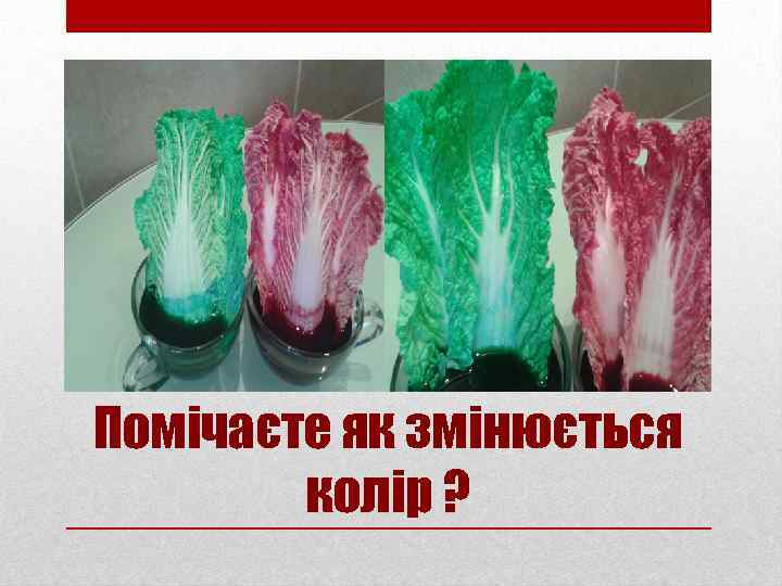 Помічаєте як змінюється колір ? 