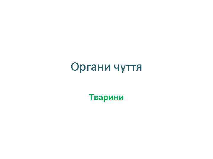 Органи чуття Тварини 