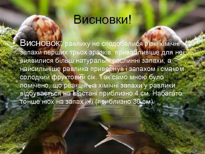 Висновки! • Висновок: равлику не сподобалися різкі хімічні запахи перших трьох зразків, привабливіше для
