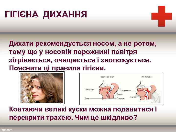 ГІГІЄНА ДИХАННЯ Дихати рекомендується носом, а не ротом, тому що у носовій порожнині повітря