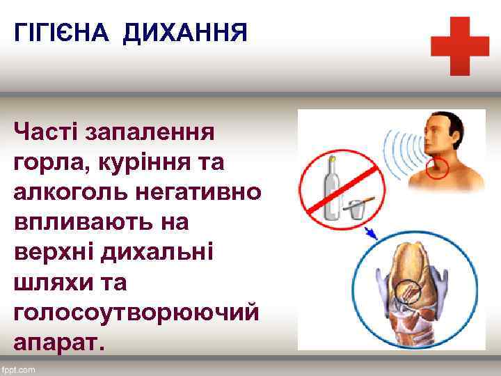 ГІГІЄНА ДИХАННЯ Часті запалення горла, куріння та алкоголь негативно впливають на верхні дихальні шляхи