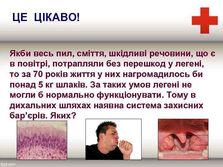  ЦЕ ЦІКАВО! Якби весь пил, сміття, шкідливі речовини, що є в повітрі, потрапляли