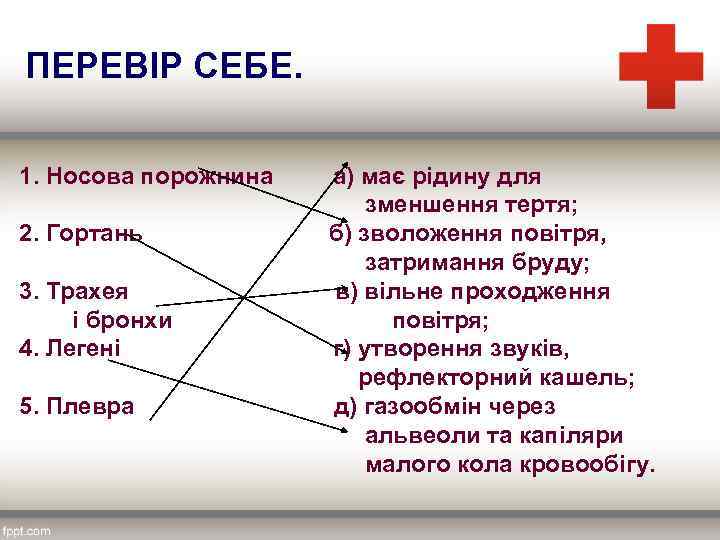 ПЕРЕВІР СЕБЕ. 1. Носова порожнина а) має рідину для зменшення тертя; 2. Гортань б)