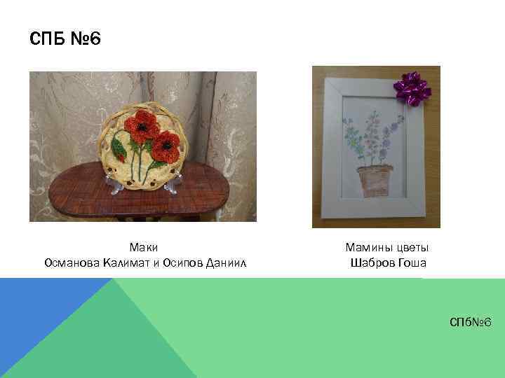 СПБ № 6 Маки Османова Калимат и Осипов Даниил Мамины цветы Шабров Гоша СПб№