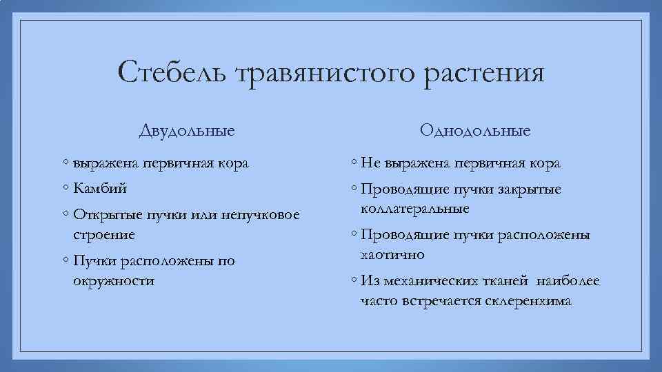 Стебель травянистого растения Двудольные Однодольные ◦ выражена первичная кора ◦ Не выражена первичная кора