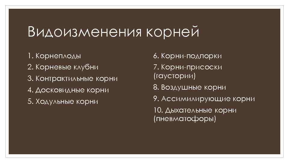 Видоизменения корней 1. Корнеплоды 6. Корни-подпорки 2. Корневые клубни 3. Контрактильные корни 7. Корни-присоски