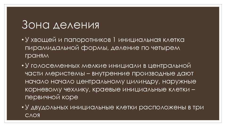 Зона деления • У хвощей и папоротников 1 инициальная клетка пирамидальной формы, деление по