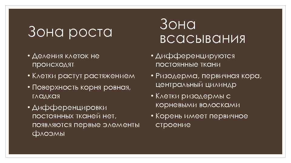 Зона роста Зона всасывания • Деления клеток не происходят • Дифференцируются постоянные ткани •