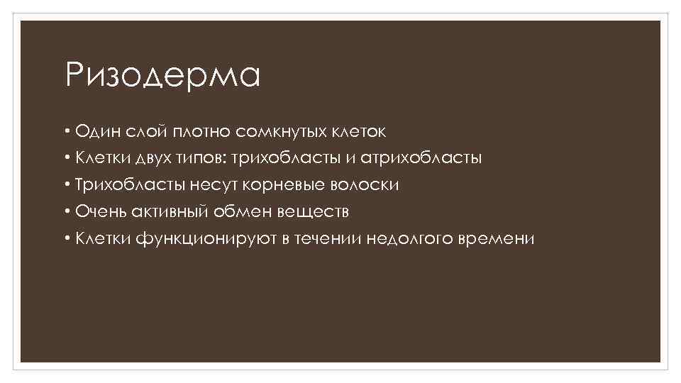Ризодерма • Один слой плотно сомкнутых клеток • Клетки двух типов: трихобласты и атрихобласты