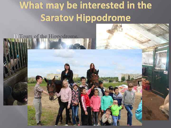 What may be interested in the Saratov Hippodrome 1) Tours of the Hippodrome. On