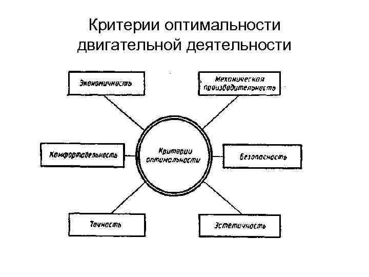 Критерии оптимальности двигательной деятельности 