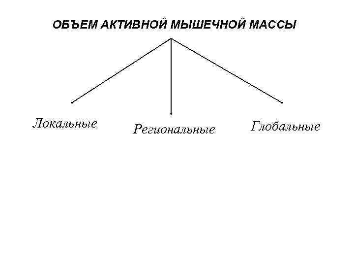 ОБЪЕМ АКТИВНОЙ МЫШЕЧНОЙ МАССЫ Локальные Региональные Глобальные 