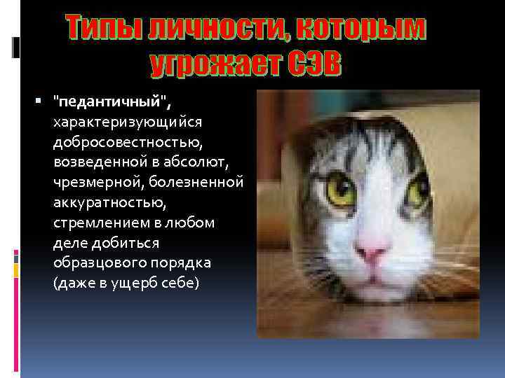  "педантичный", характеризующийся добросовестностью, возведенной в абсолют, чрезмерной, болезненной аккуратностью, стремлением в любом деле