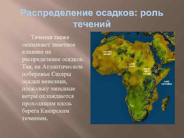 Распределение осадков: роль течений Течения также оказывают заметное влияние на распределение осадков. Так, на