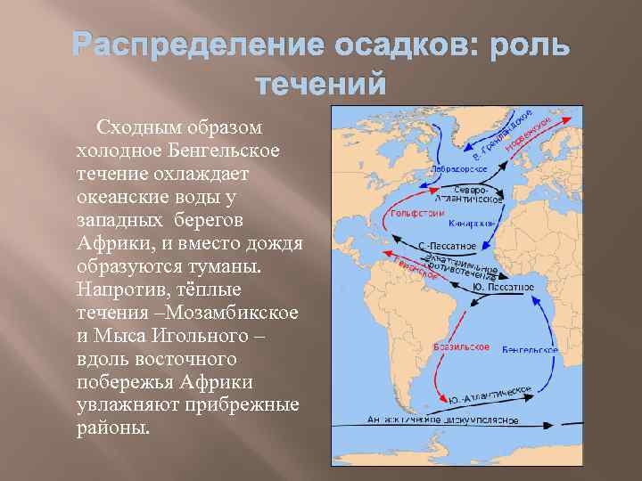Распределение осадков: роль течений Сходным образом холодное Бенгельское течение охлаждает океанские воды у западных