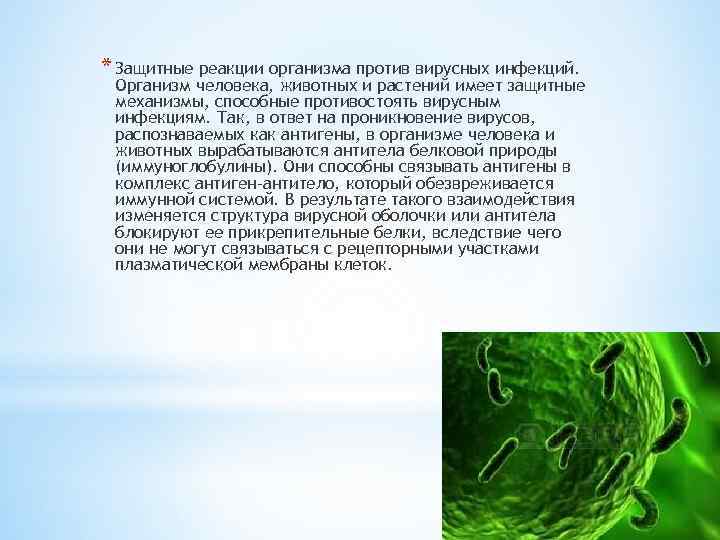 * Защитные реакции организма против вирусных инфекций. Организм человека, животных и растений имеет защитные