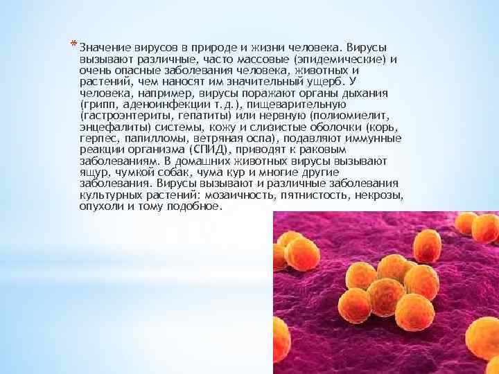 * Значение вирусов в природе и жизни человека. Вирусы вызывают различные, часто массовые (эпидемические)