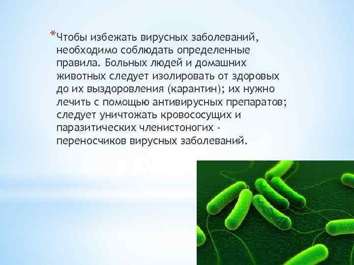 *Чтобы избежать вирусных заболеваний, необходимо соблюдать определенные правила. Больных людей и домашних животных следует