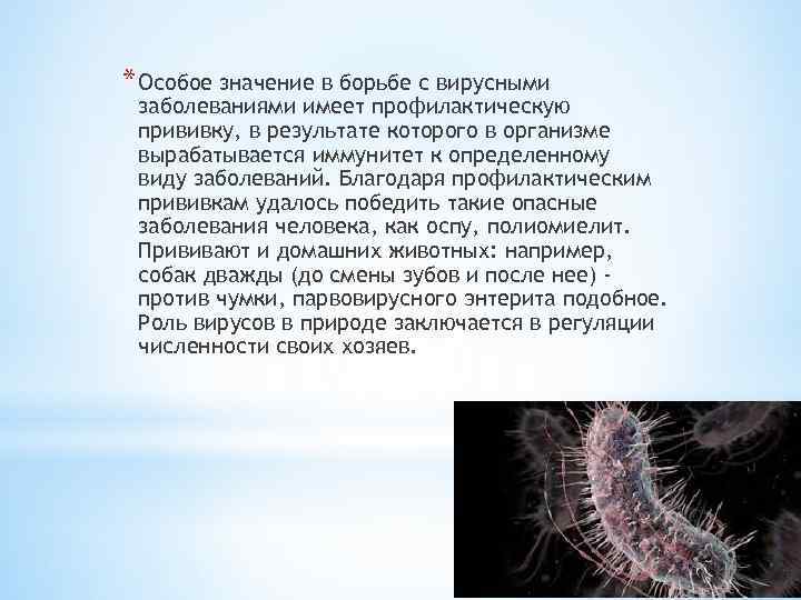 * Особое значение в борьбе с вирусными заболеваниями имеет профилактическую прививку, в результате которого