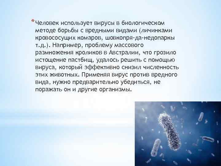 * Человек использует вирусы в биологическом методе борьбы с вредными видами (личинками кровососущих комаров,