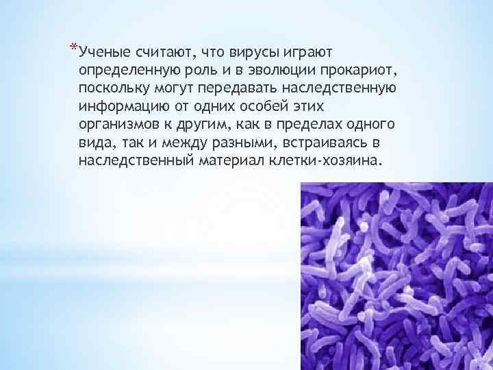 *Ученые считают, что вирусы играют определенную роль и в эволюции прокариот, поскольку могут передавать