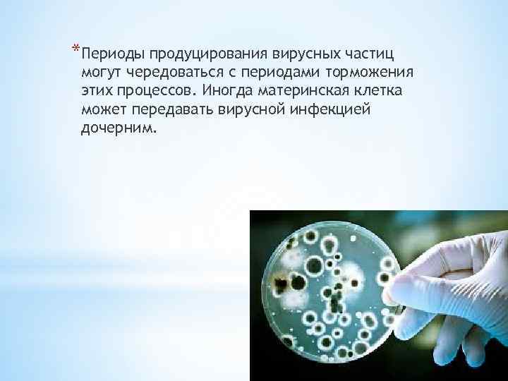 *Периоды продуцирования вирусных частиц могут чередоваться с периодами торможения этих процессов. Иногда материнская клетка