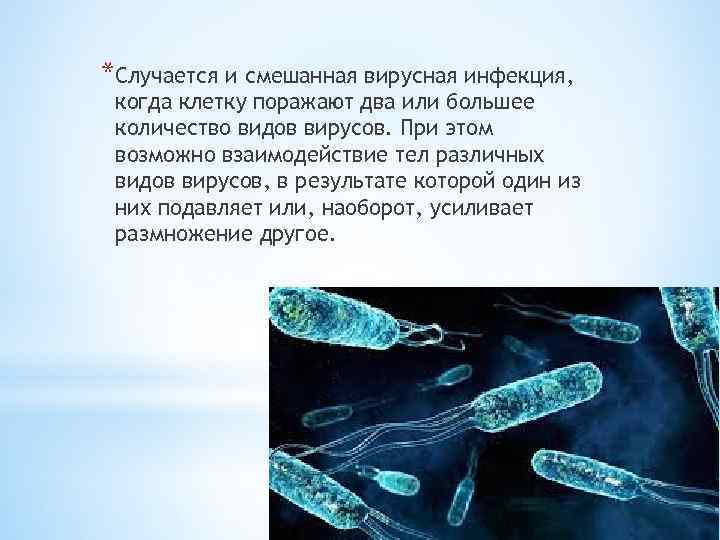 *Случается и смешанная вирусная инфекция, когда клетку поражают два или большее количество видов вирусов.