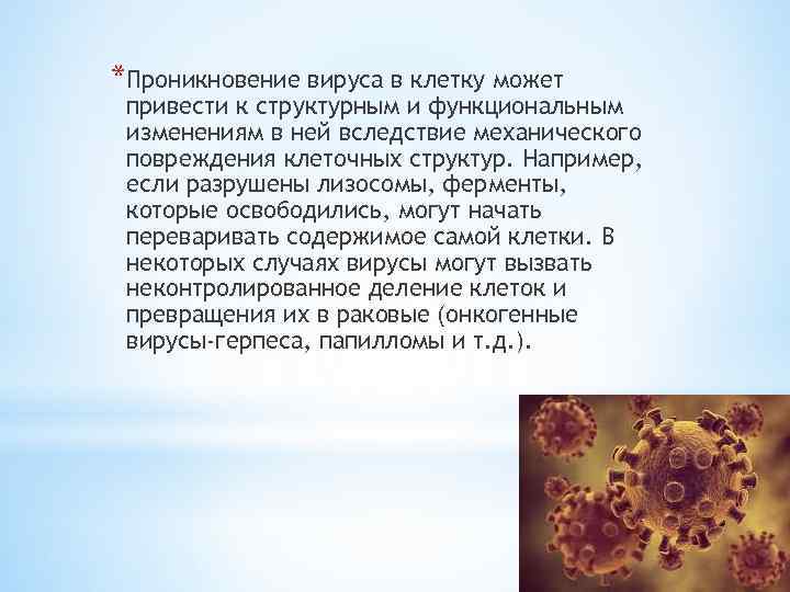 *Проникновение вируса в клетку может привести к структурным и функциональным изменениям в ней вследствие